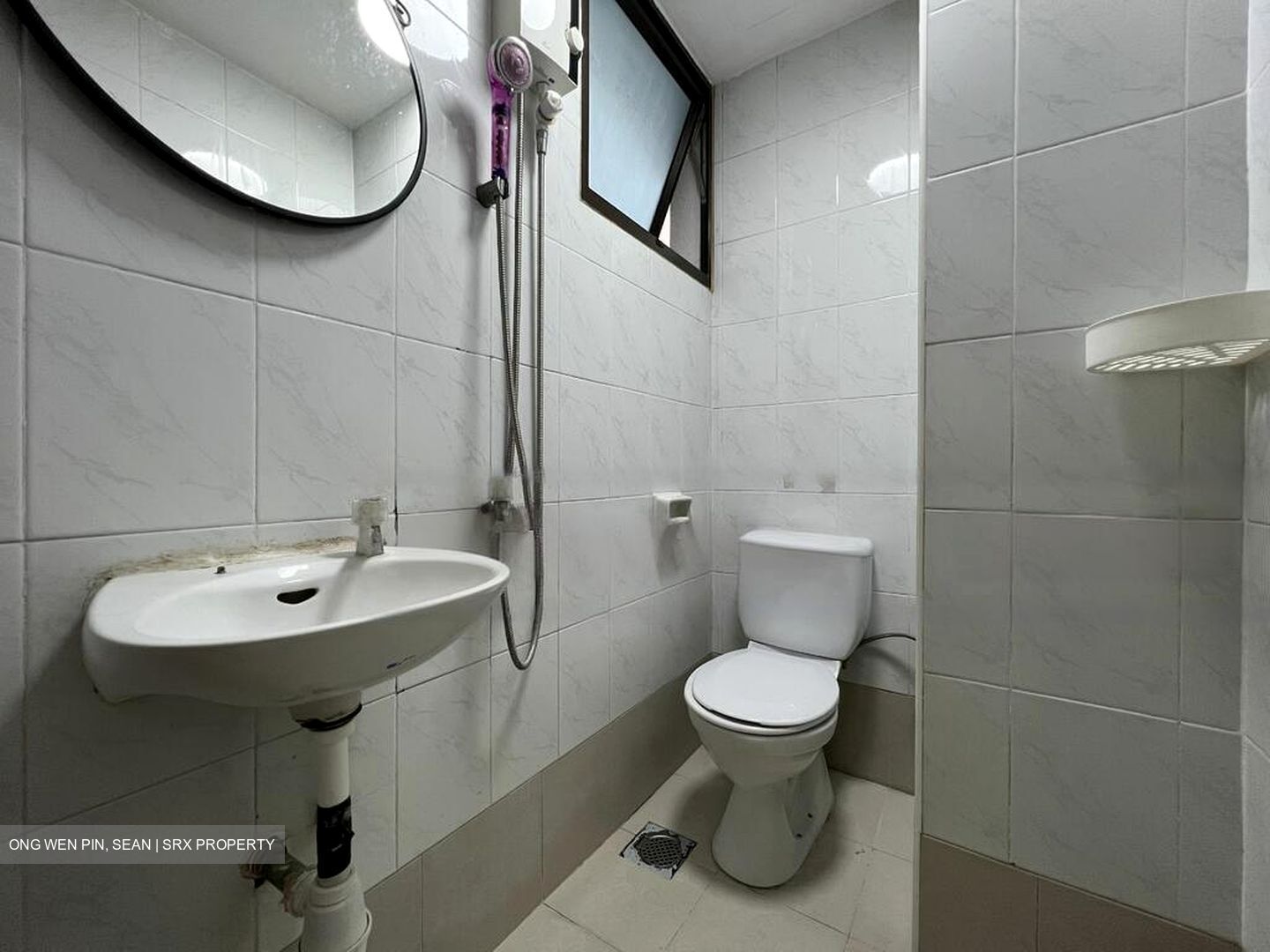 Parc Oasis (D22), Condominium #458557901